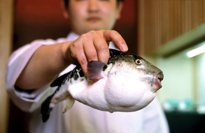 10 experimentan con frecuencia las emociones, que, resulta, que tienen nombres 10 experimentan con frecuencia las emociones, que, resulta, que tienen nombres