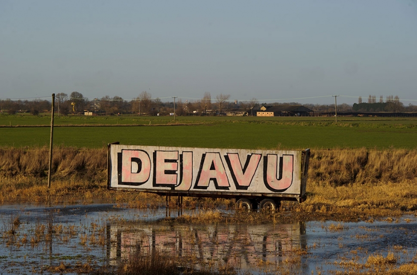 10 experimentan con frecuencia las emociones, que, resulta, que tienen nombres 10 experimentan con frecuencia las emociones, que, resulta, que tienen nombres