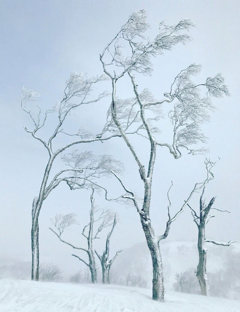 10 finalists for landscape photography The Independent Photographer 10 finalists for landscape photography The Independent Photographer