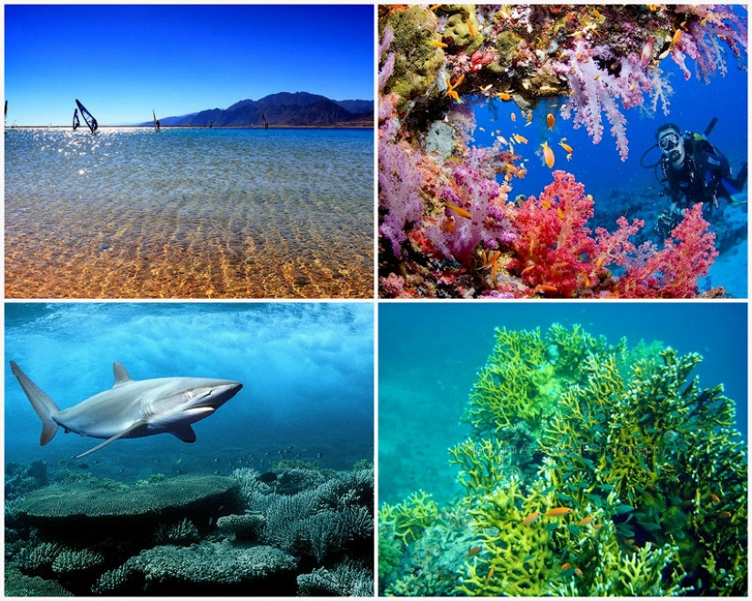 10 hechos sobre el mar Rojo