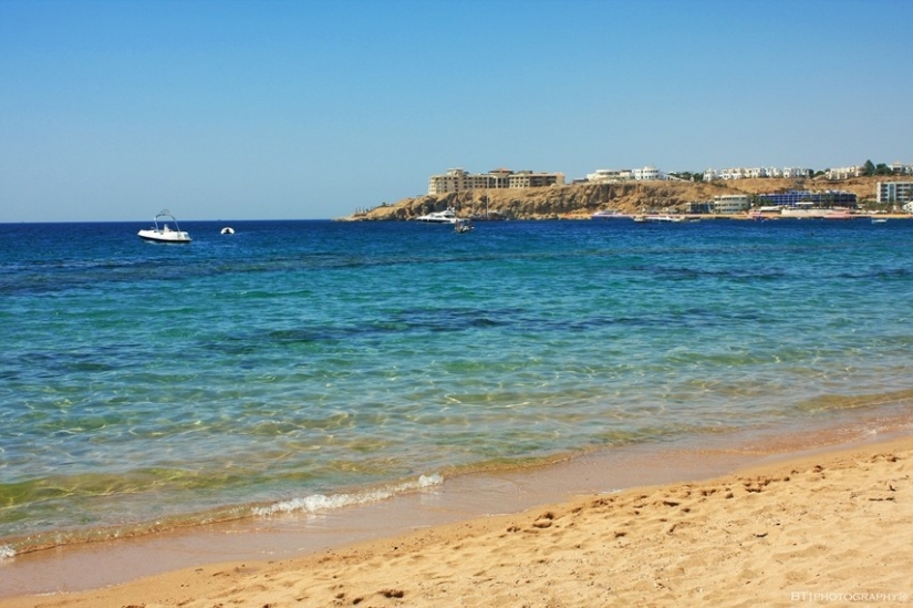 10 hechos sobre el mar Rojo