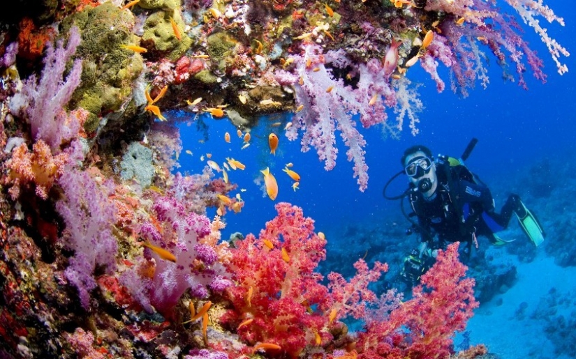 10 hechos sobre el mar Rojo