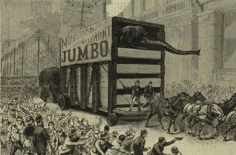 10 increíbles historias de la "vida" de el puente de Brooklyn 10 increíbles historias de la "vida" de el puente de Brooklyn