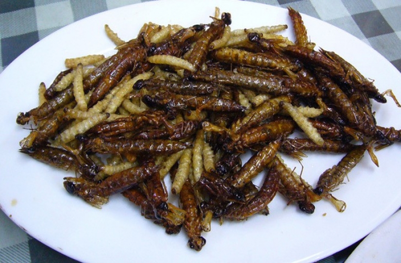 10 la más terrible tradiciones de Navidad