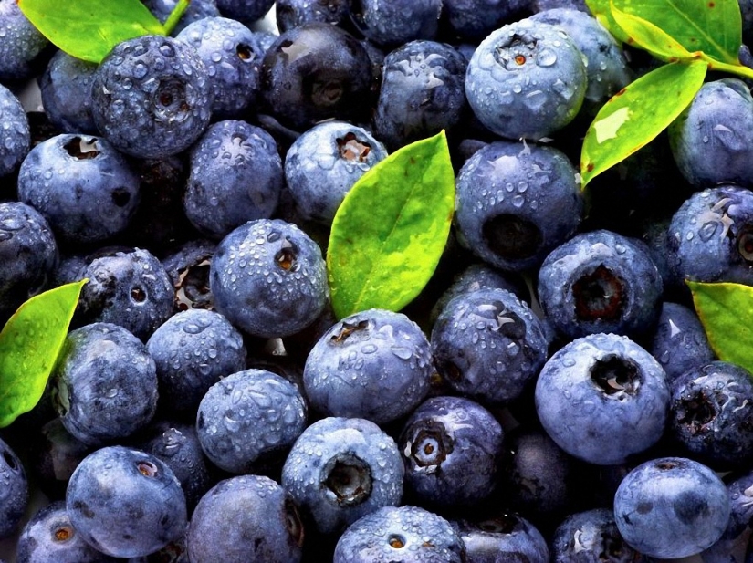 10 maneras de protegerse de cáncer 10 maneras de protegerse de cáncer