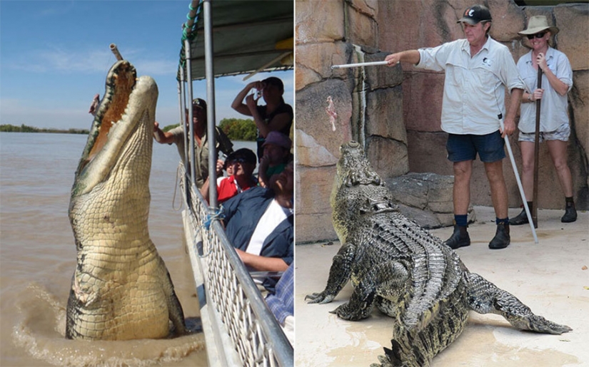 10 mortal ocupaciones 10 mortal ocupaciones