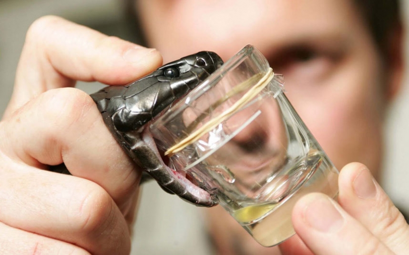 10 mortal ocupaciones 10 mortal ocupaciones