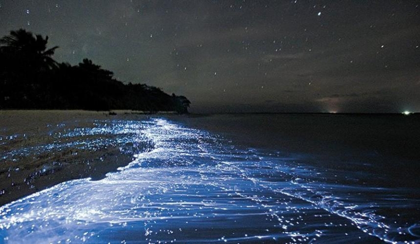 10 most amazing beaches in the world 10 most amazing beaches in the world