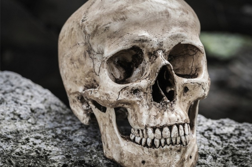 10 secretos de la naturaleza que los científicos no han podido revelar