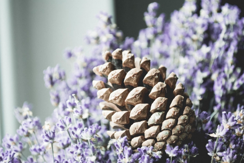 10 simple tips on how to photograph the usual boring bump