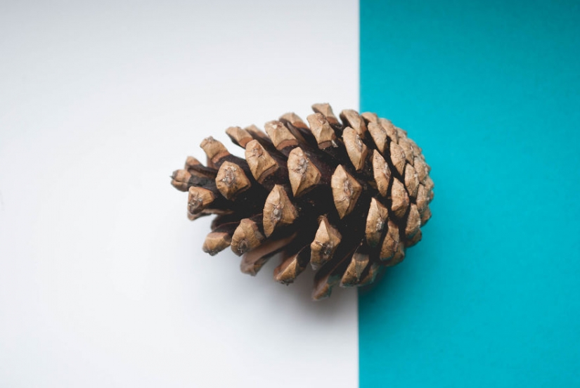 10 simple tips on how to photograph the usual boring bump