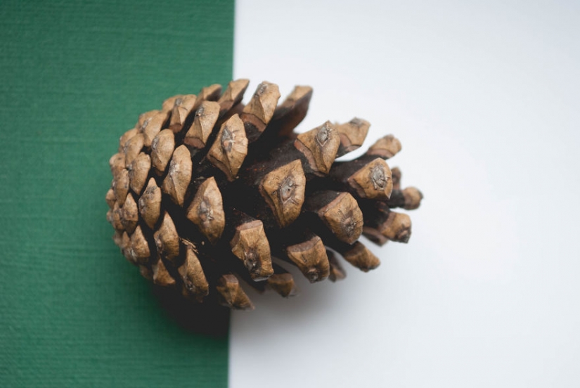 10 simple tips on how to photograph the usual boring bump