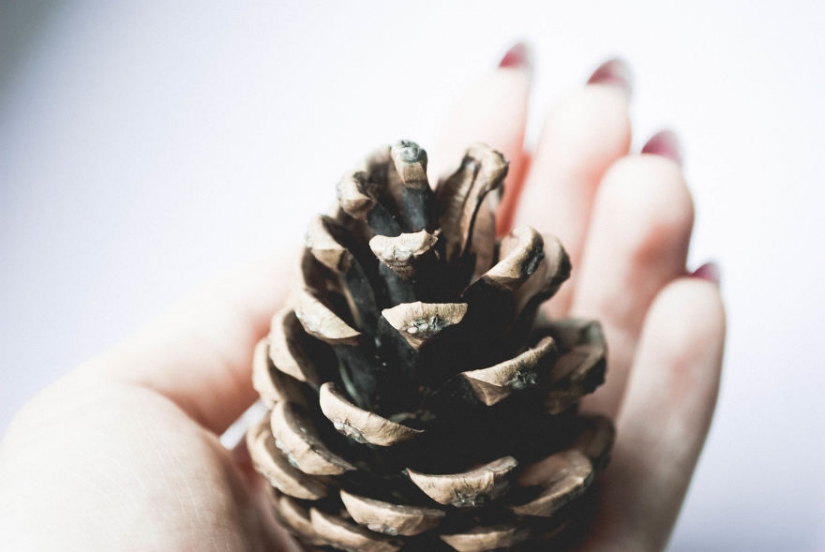 10 simple tips on how to photograph the usual boring bump