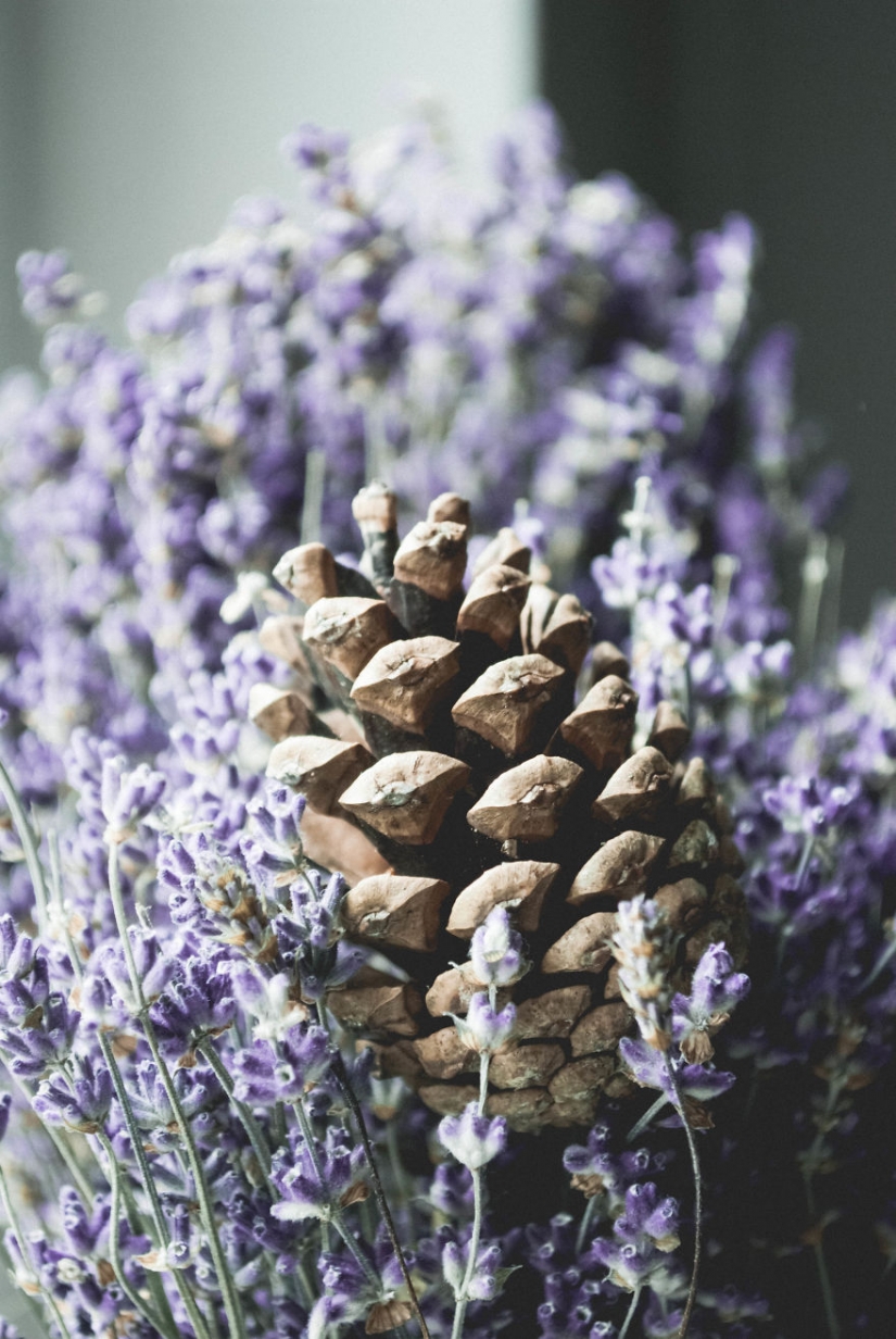 10 simples consejos sobre cómo fotografiar el aburrido de costumbre bump