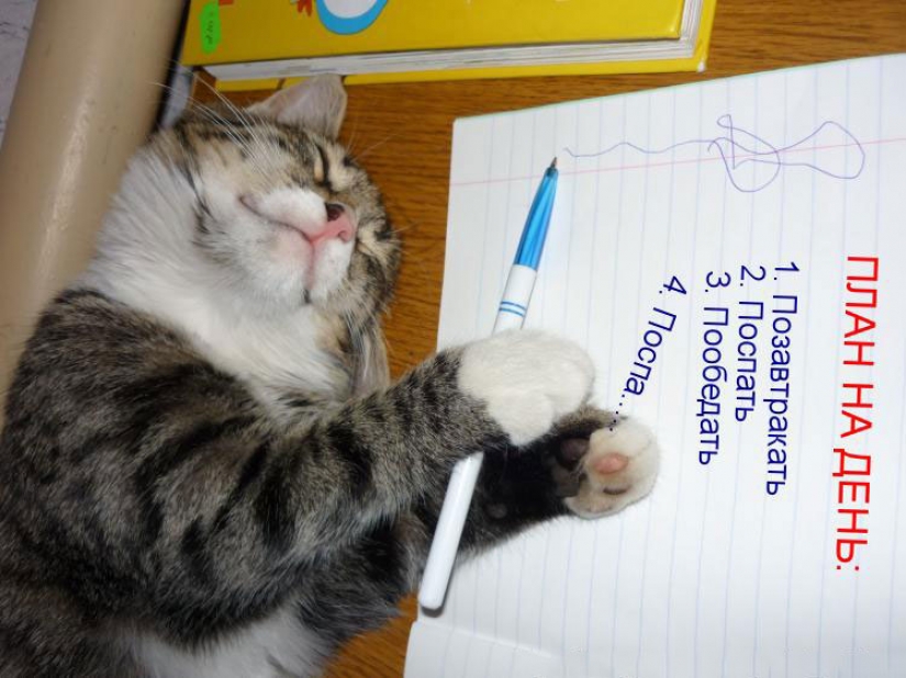 10 things to do before 10am 10 things to do before 10am