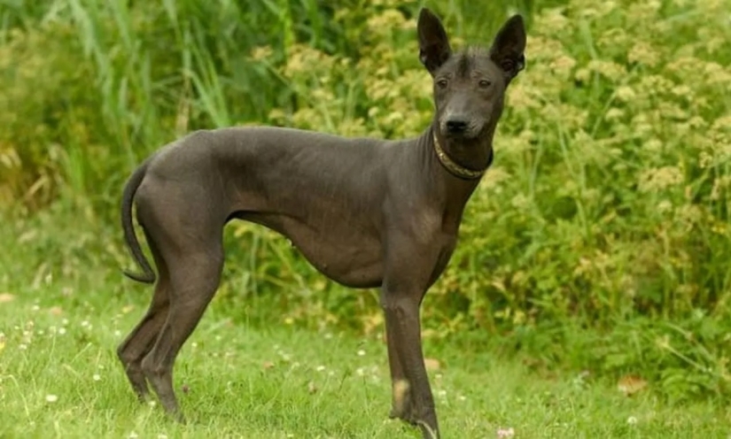 10 weird but fascinating problems of ancient people 10 weird but fascinating problems of ancient people