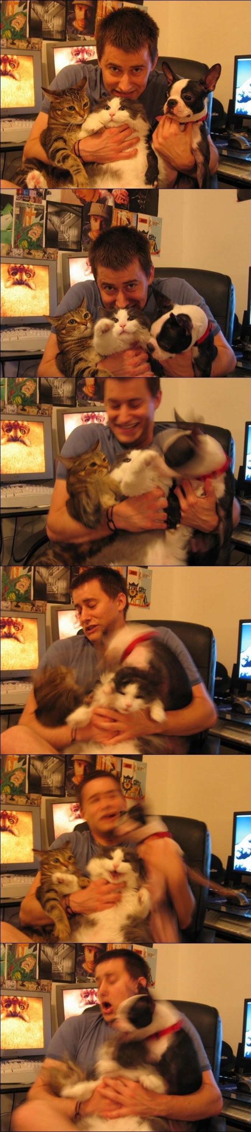 100 mejores gato fotos de todos los tiempos y de los pueblos 100 mejores gato fotos de todos los tiempos y de los pueblos