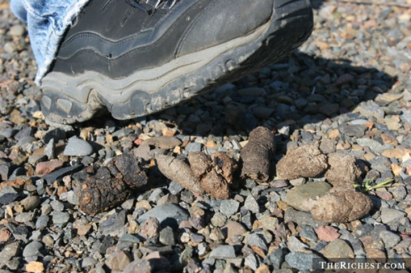 12 de la más loca de las supersticiones de todo el mundo