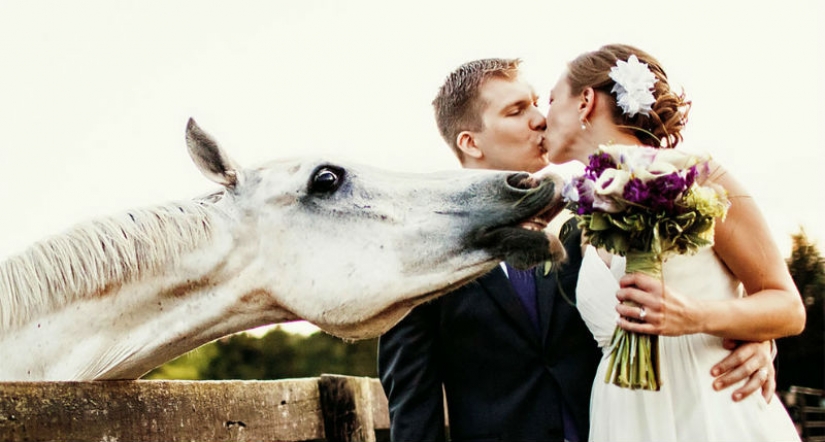 12 fotos de la boda que ha arruinado a algunos de los animales