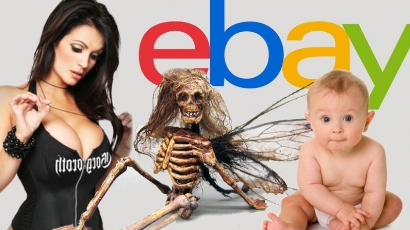 12 más impactante lotes a la venta en eBay 12 más impactante lotes a la venta en eBay