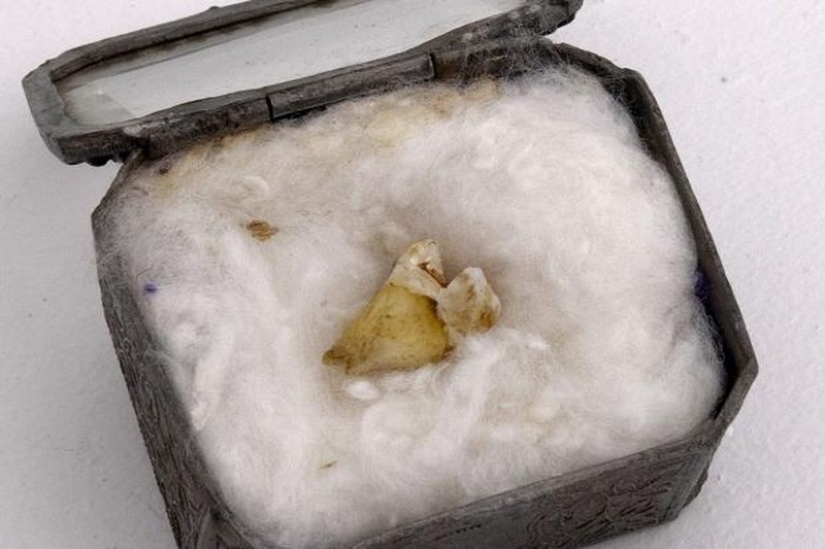 12 más impactante lotes a la venta en eBay 12 más impactante lotes a la venta en eBay