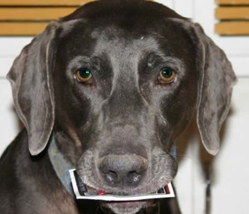 12 más impactante lotes a la venta en eBay 12 más impactante lotes a la venta en eBay