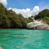 12 sunken ships, which you can see without scuba gear