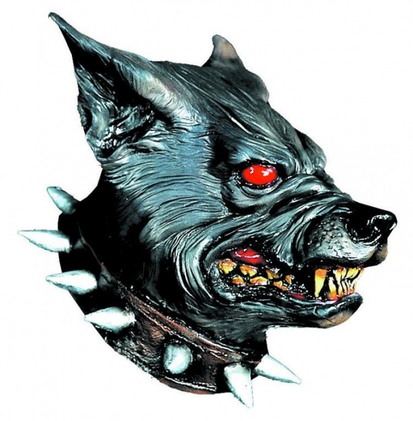 13 the most common types of neighbors that prevent us from living