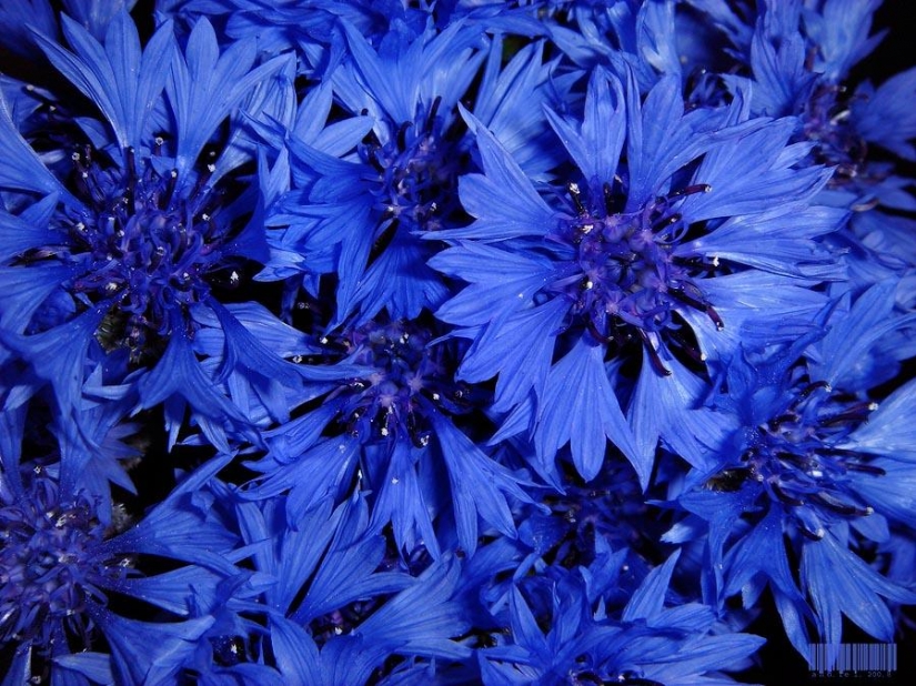 14 consejos sobre cómo ser más feliz 14 consejos sobre cómo ser más feliz