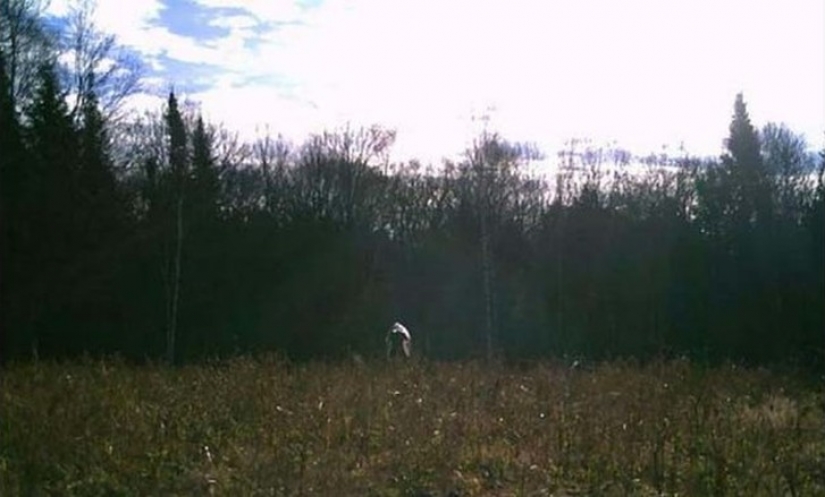 14 de la más terrible de los disparos con un caza de la visión nocturna de las cámaras