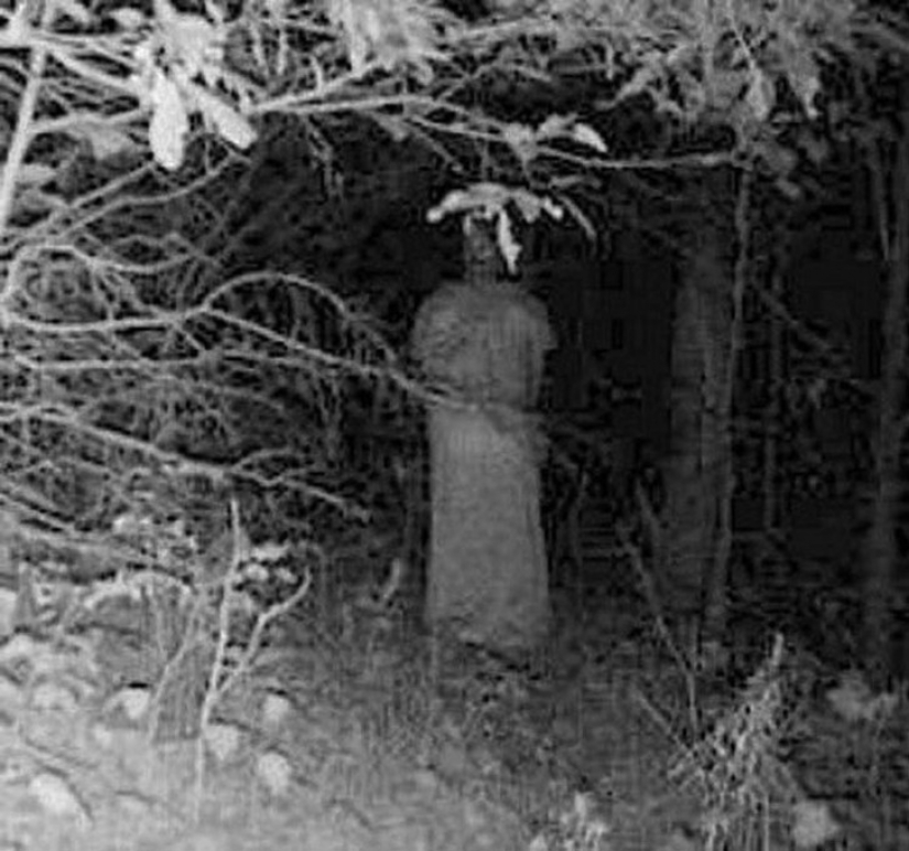 14 of the most terrible shots with a hunting night vision cameras