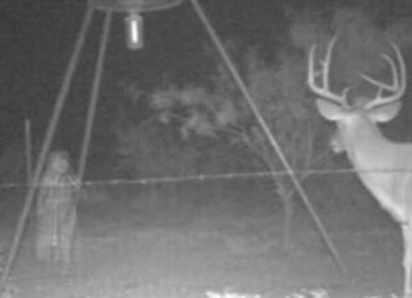 14 of the most terrible shots with a hunting night vision cameras
