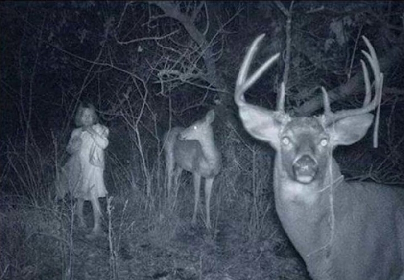 14 of the most terrible shots with a hunting night vision cameras