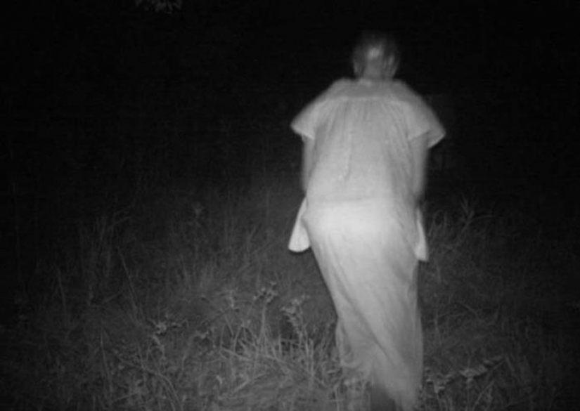 14 of the most terrible shots with a hunting night vision cameras