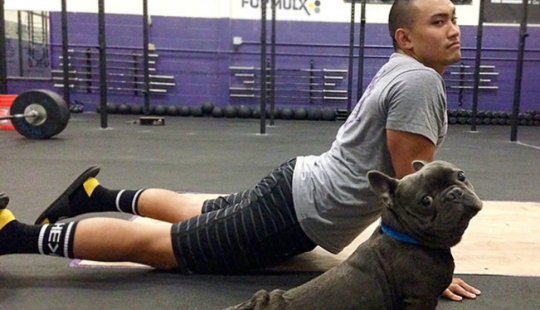 15 animales que hacen yoga mejor que tú