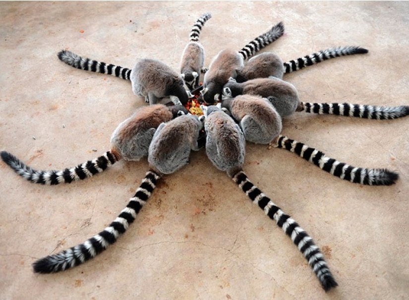 15 astonishing facts about beasts that ignore scientists