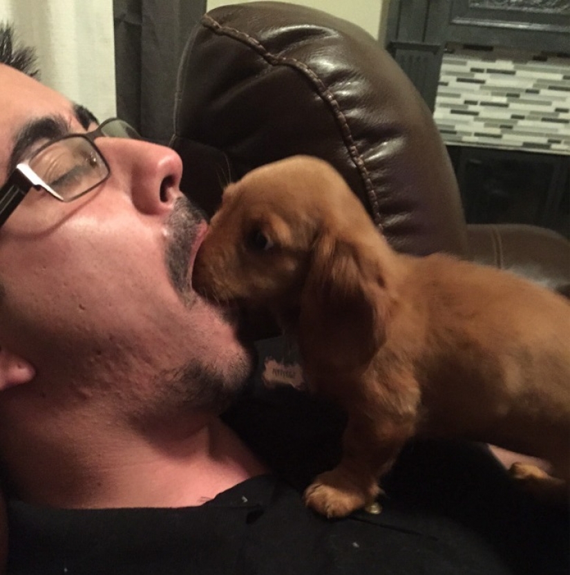 15 astonishing facts about beasts that ignore scientists