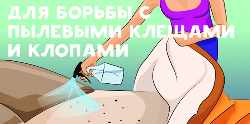 15 brilliant ideas of the use of alcohol in everyday life