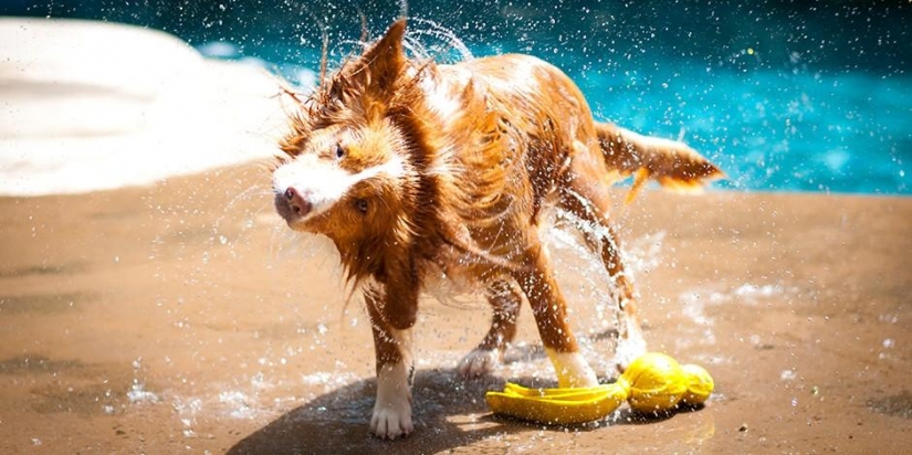 15 ecológico formas para utilizar los posos del café