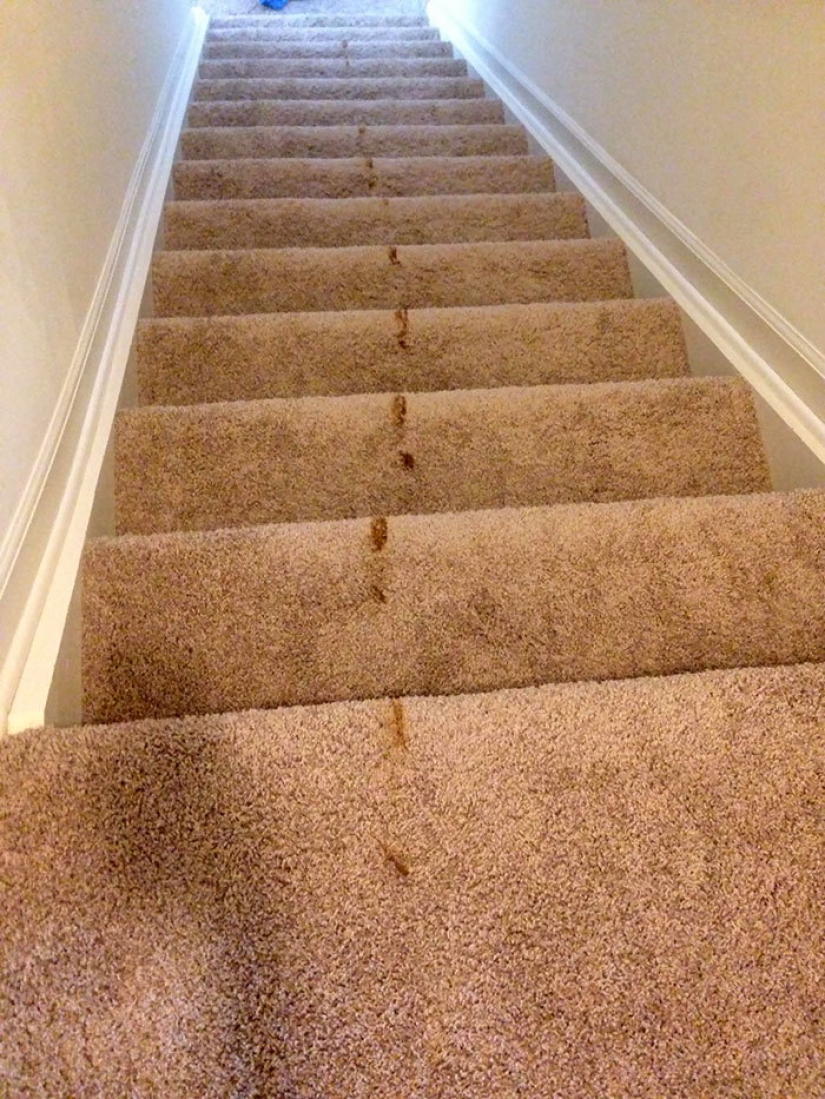 15 fotos honestos acerca de cómo los niños se vuelven locos en cuarentena