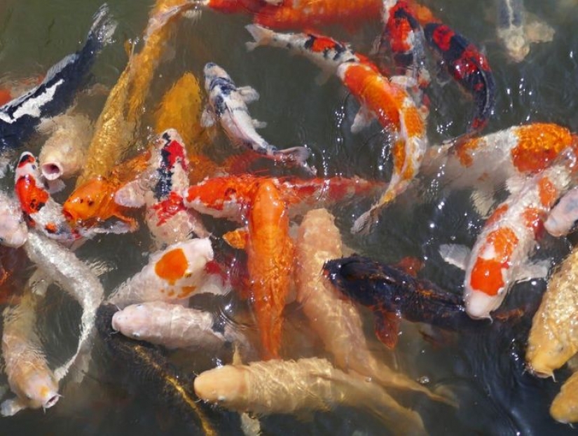 15 people who wanted to take a regular photo, but instead got a real masterpiece 15 people who wanted to take a regular photo, but instead got a real masterpiece