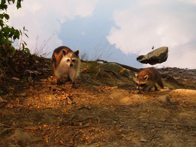 15 photos that you will want to look twice
