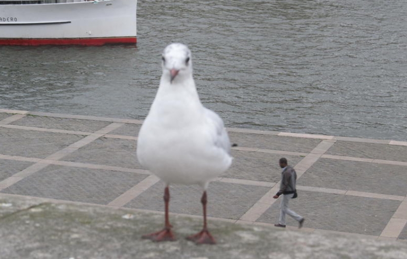 15 photos that you will want to look twice
