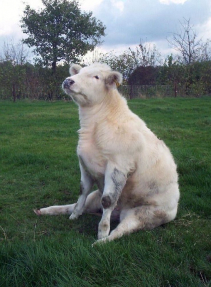 16 cute Chicks caught in stupid situations