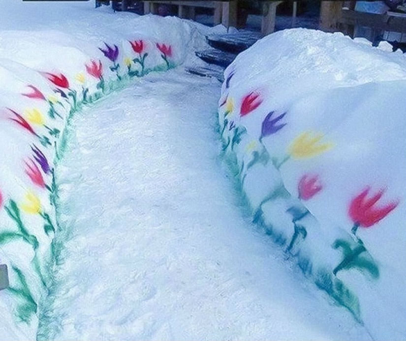 16 things you'll only see in Canada