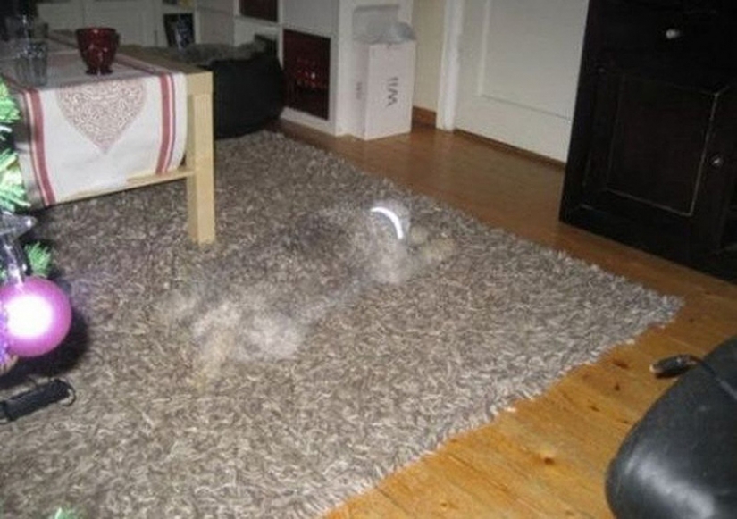 17 examples of bad perspective 17 examples of bad perspective