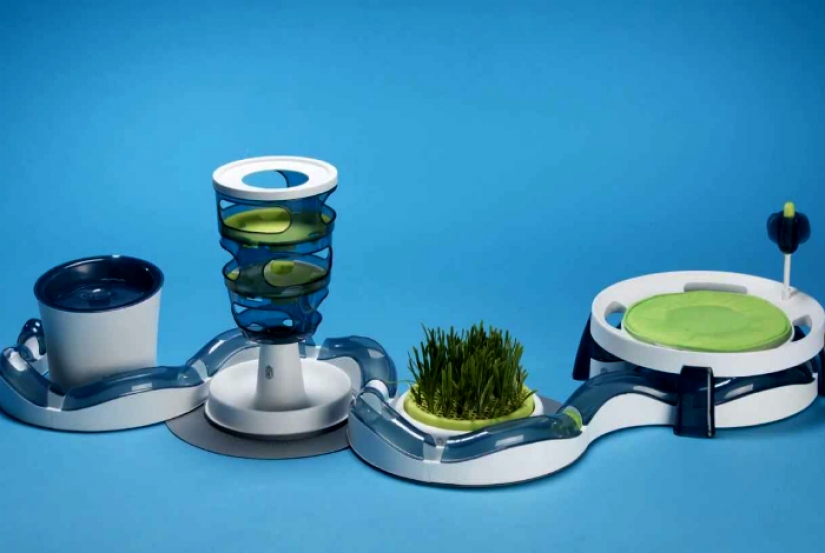 17 gadgets for the home that has a cat 17 gadgets for the home that has a cat