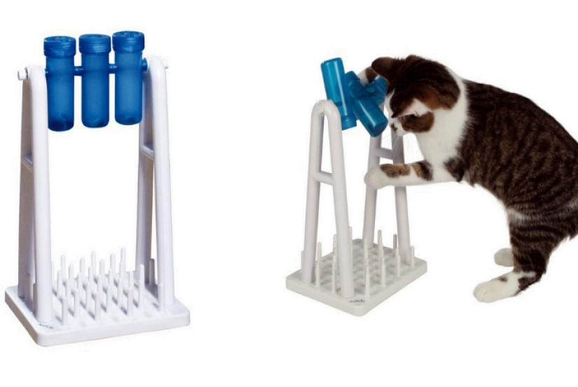 17 gadgets for the home that has a cat 17 gadgets for the home that has a cat