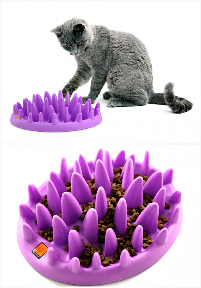 17 gadgets for the home that has a cat 17 gadgets for the home that has a cat