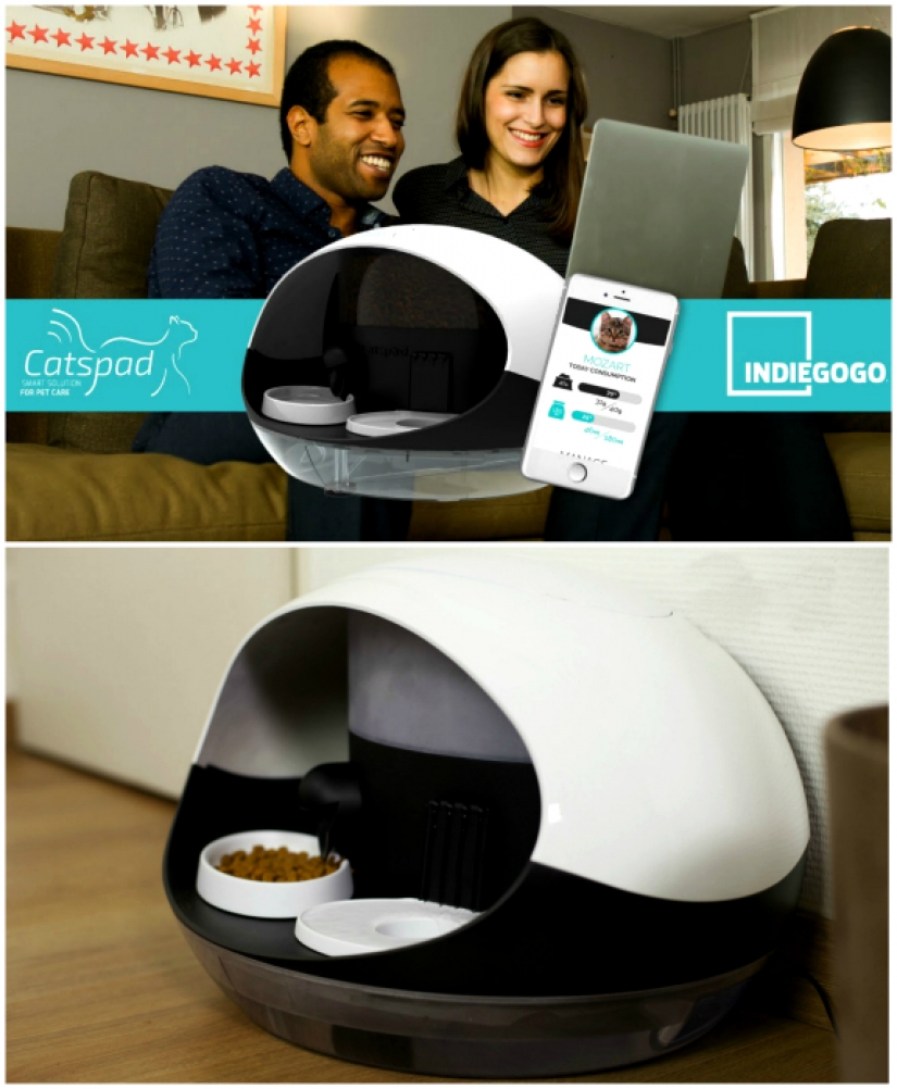 17 gadgets for the home that has a cat 17 gadgets for the home that has a cat